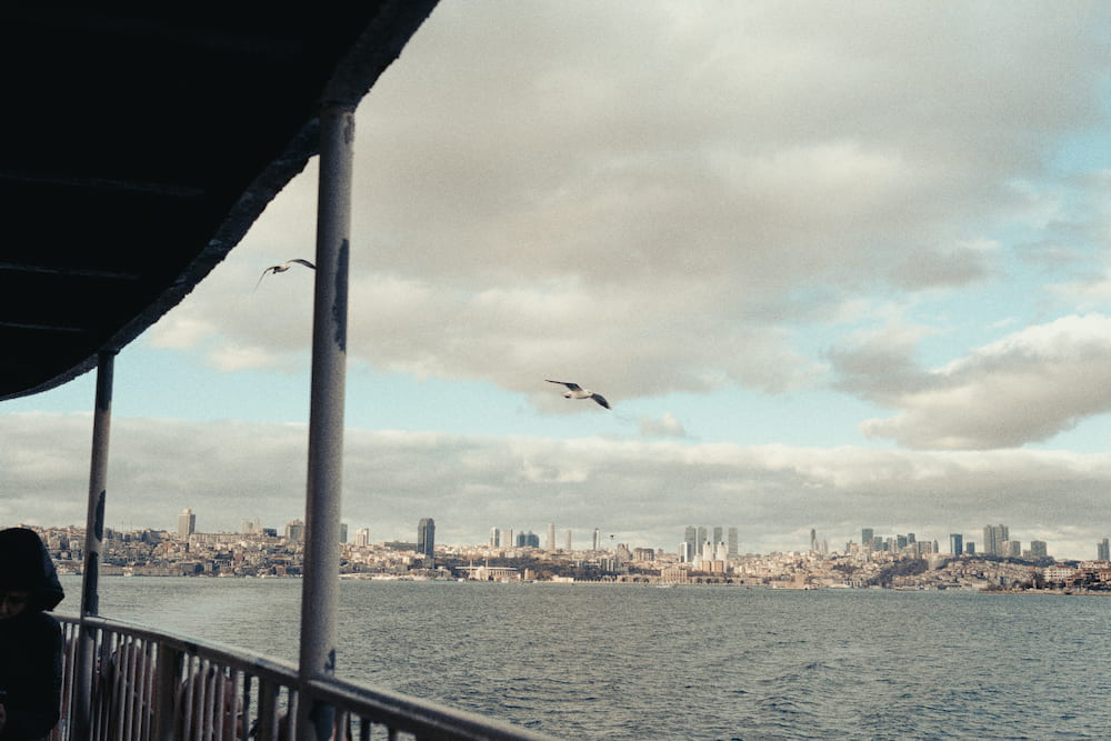 Gulls over the water from a ferry deck, the city along the far shore.