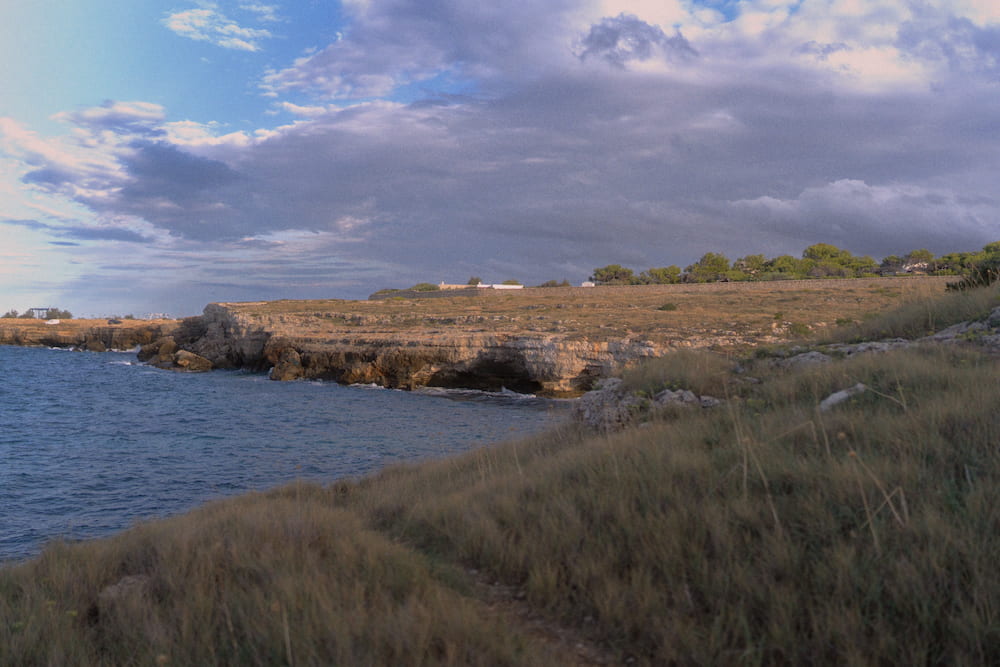 Grassy headland above a low rocky cove and calm blue sea under heavy evening clouds