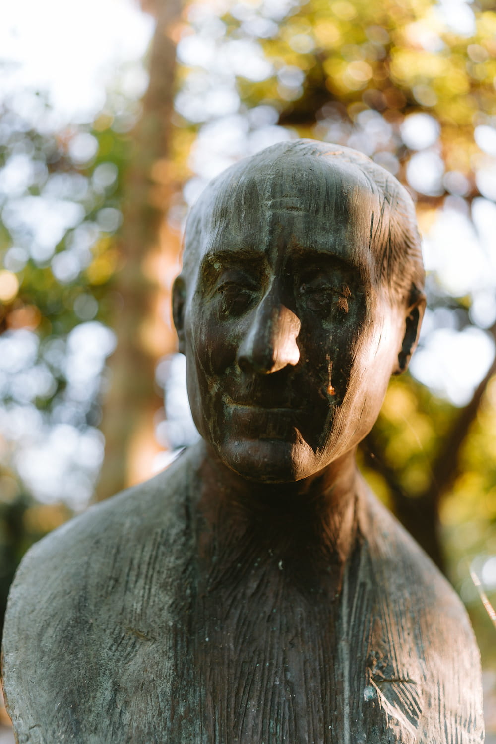 Close-up of a bronze bust of a man's head, sun on the nose, bright blurred trees behind