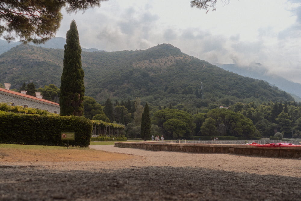 A gravel square with a tall cypress, pines and green mountains behind.