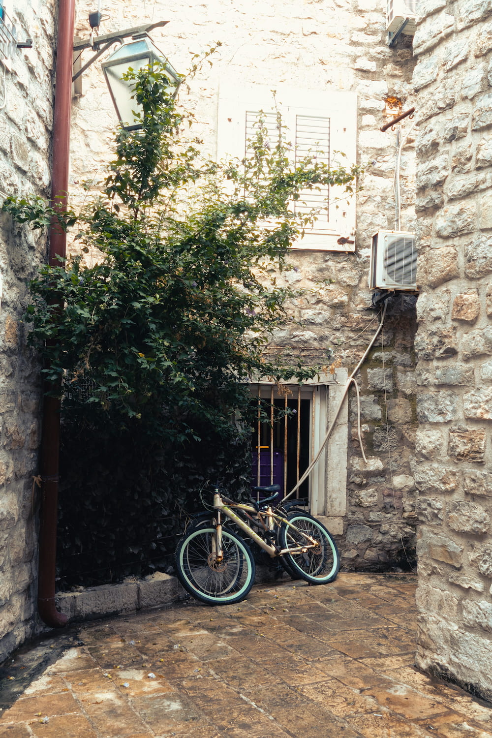 A bicycle against a stone wall in a narrow lane with plants.
