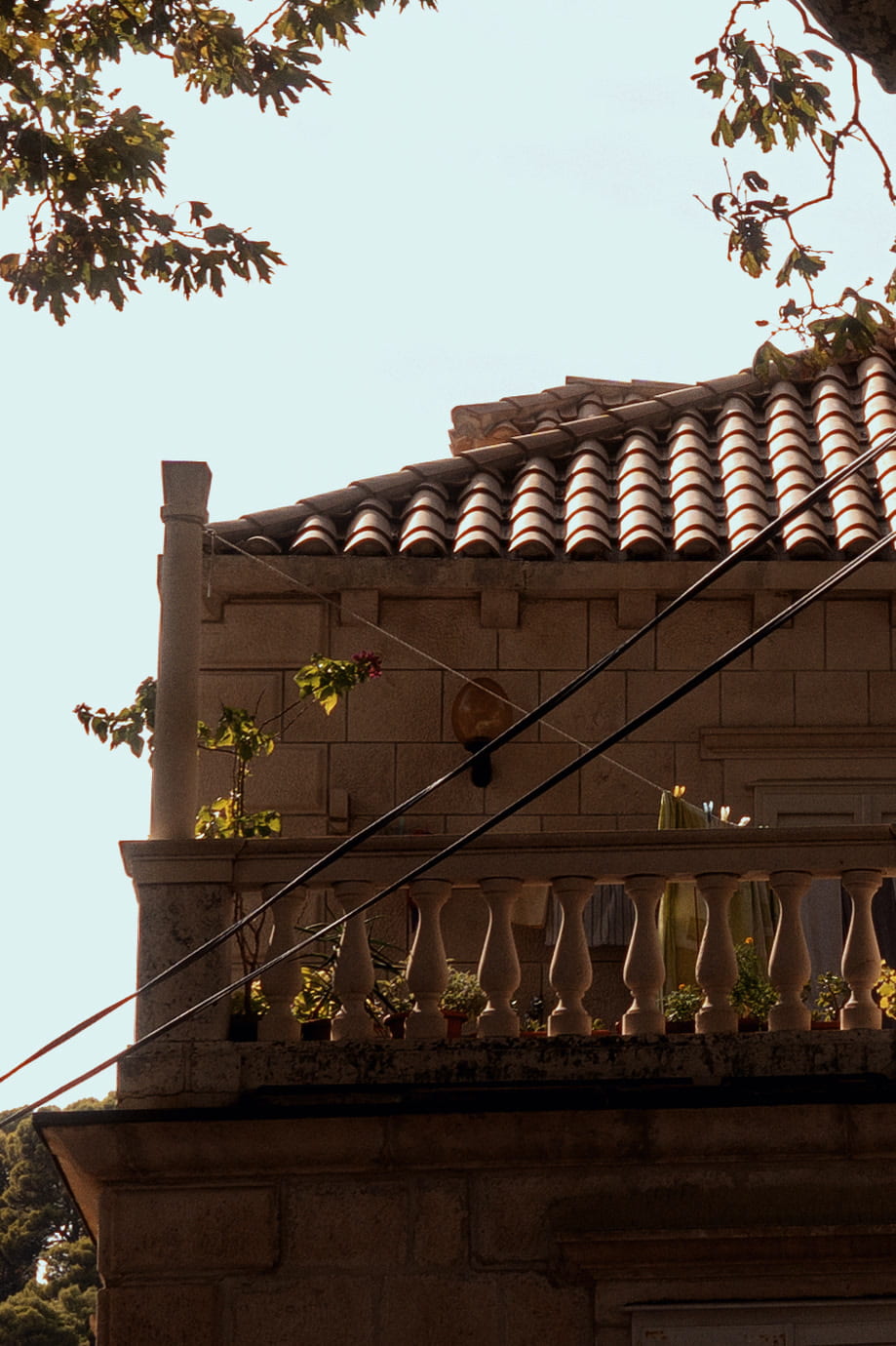 A terracotta roof and a stone balcony under branches.