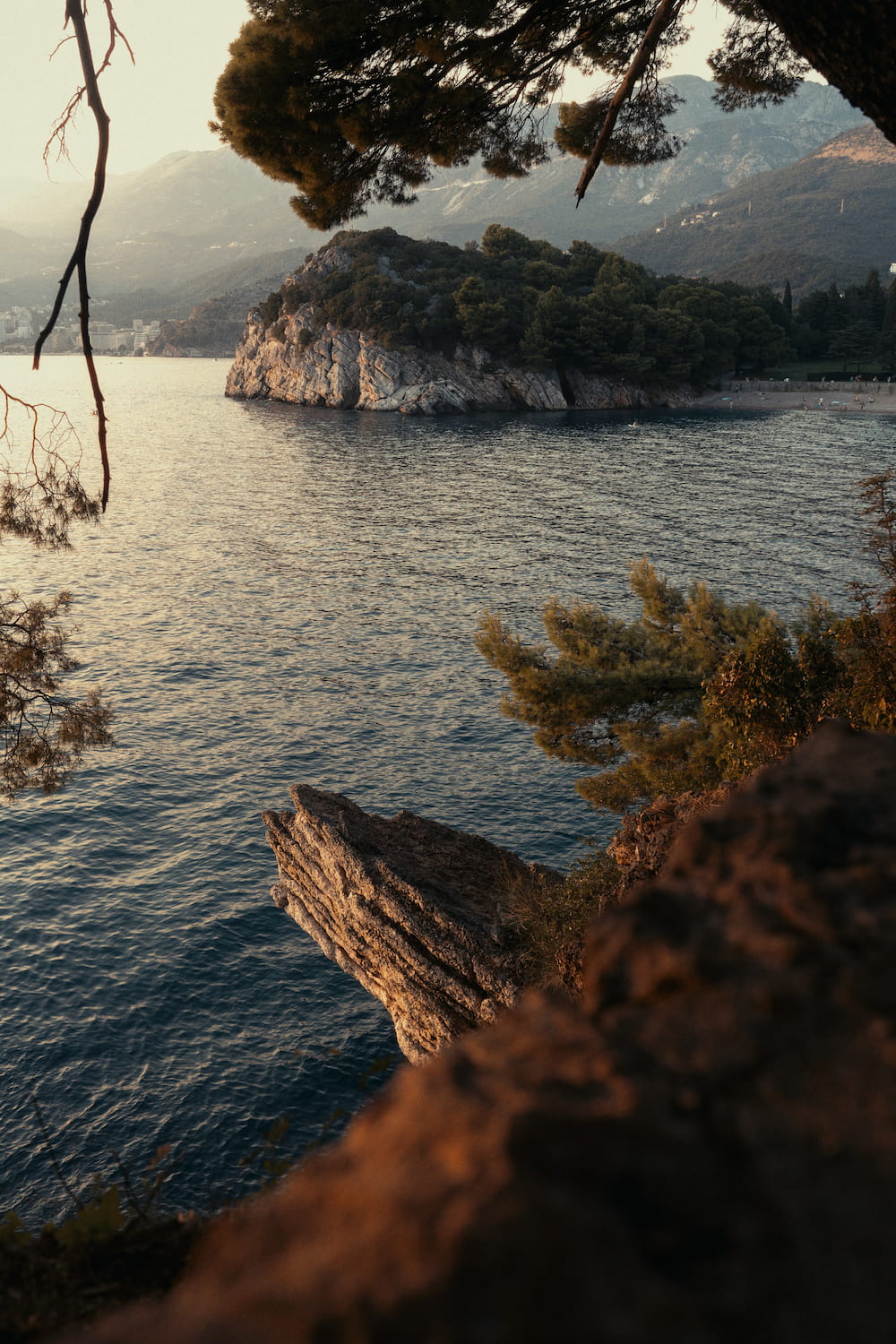 A rocky islet seen between pine branches and rocks.