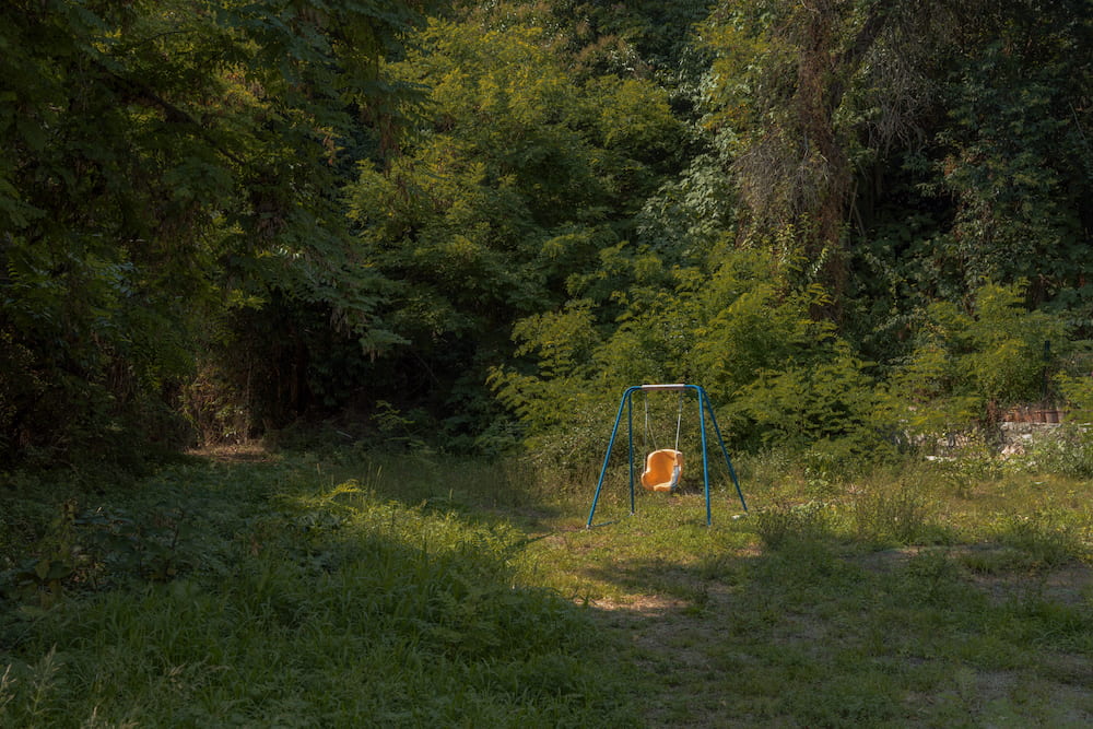 A swing in a green clearing