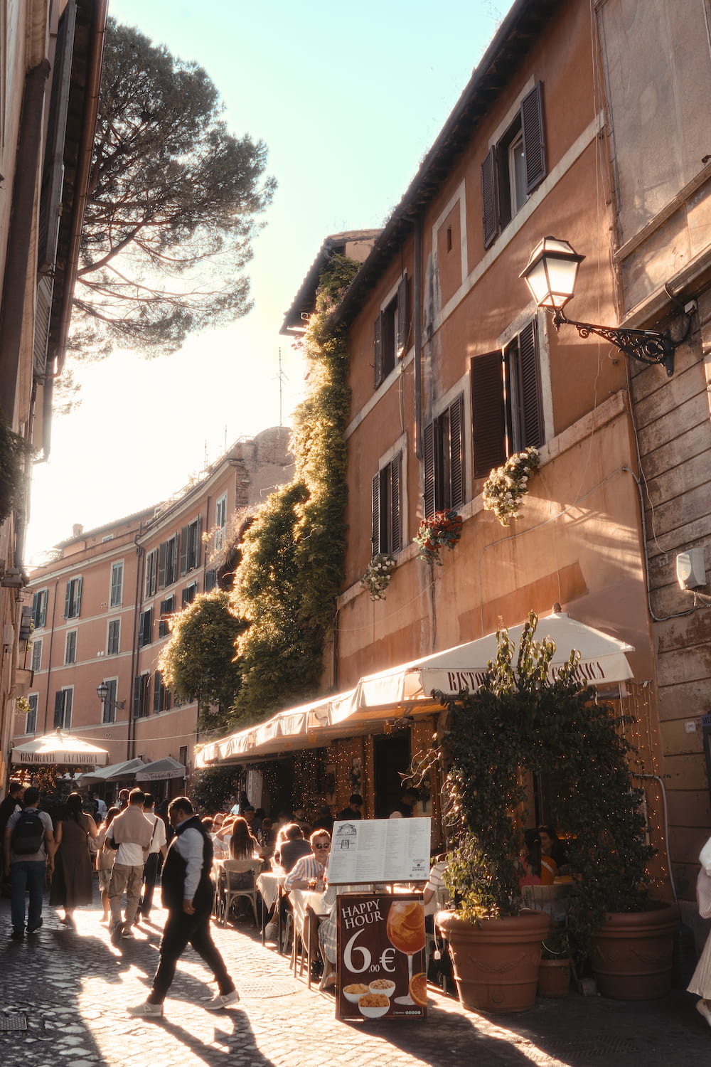 A street of ochre houses with café tables and people walking, a pine above.