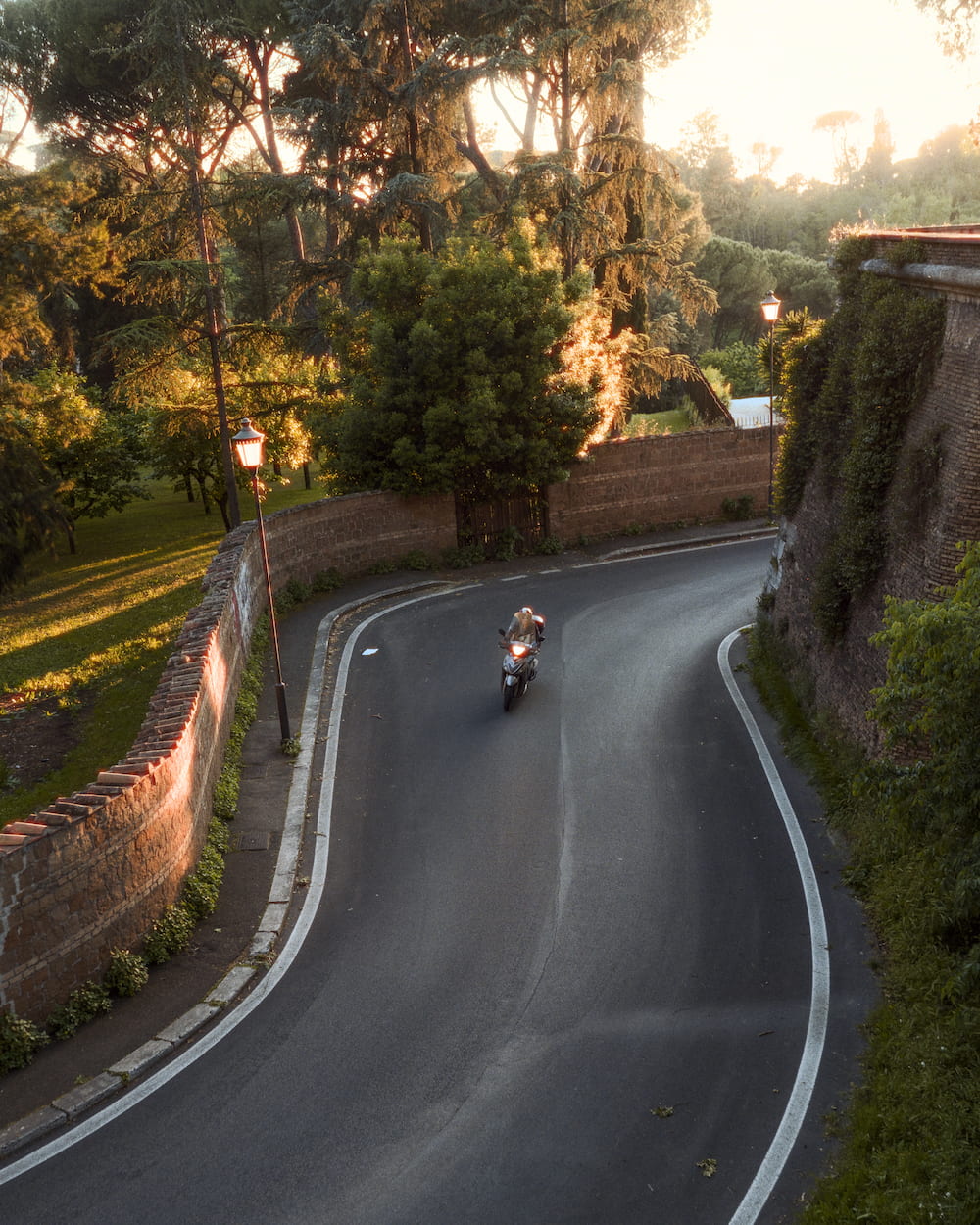 A road curving down a hill, a scooter on it, trees in the low sun.
