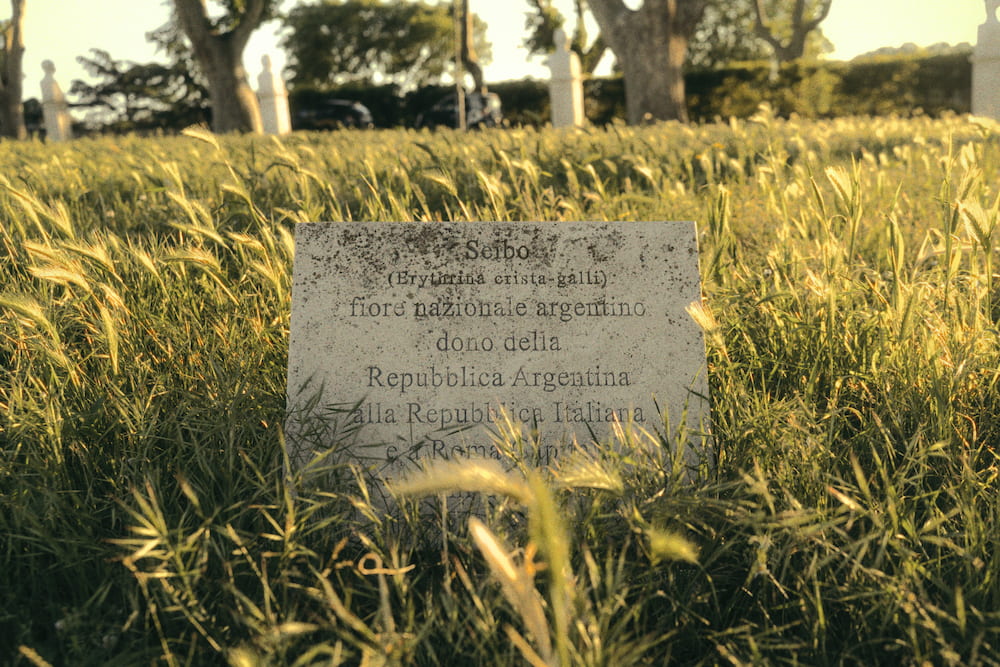 An inscribed stone standing in long grass in the low sun.