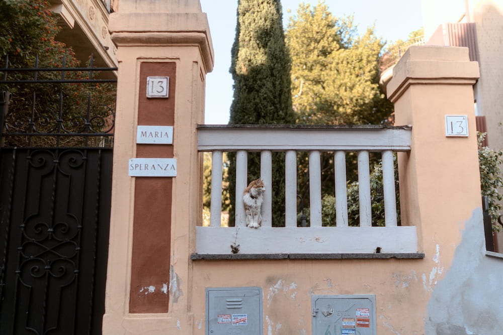A pink gate pier and a balustrade, cypresses behind.