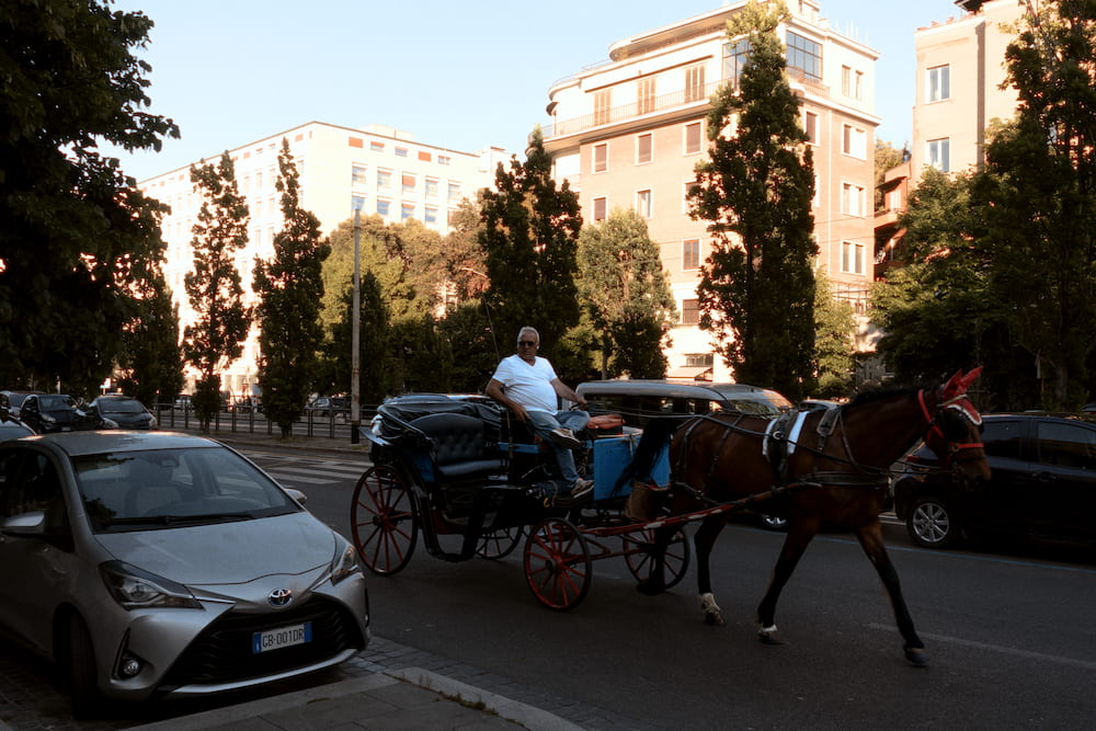 A horse-drawn carriage passing a parked car, pines and houses behind.