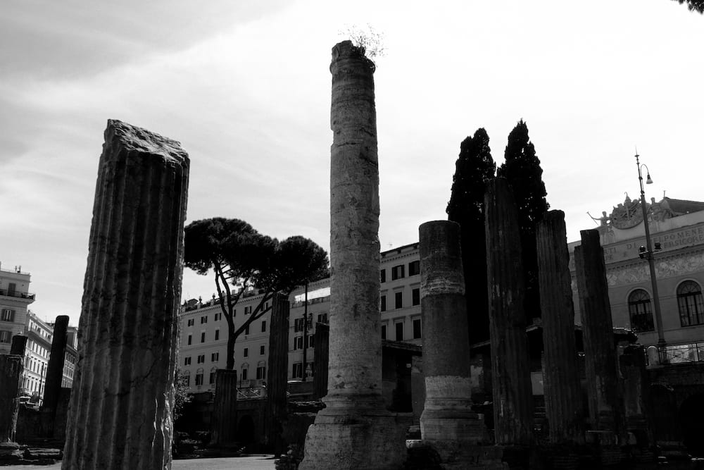 Black and white: ancient columns among ruins, pines and buildings behind.