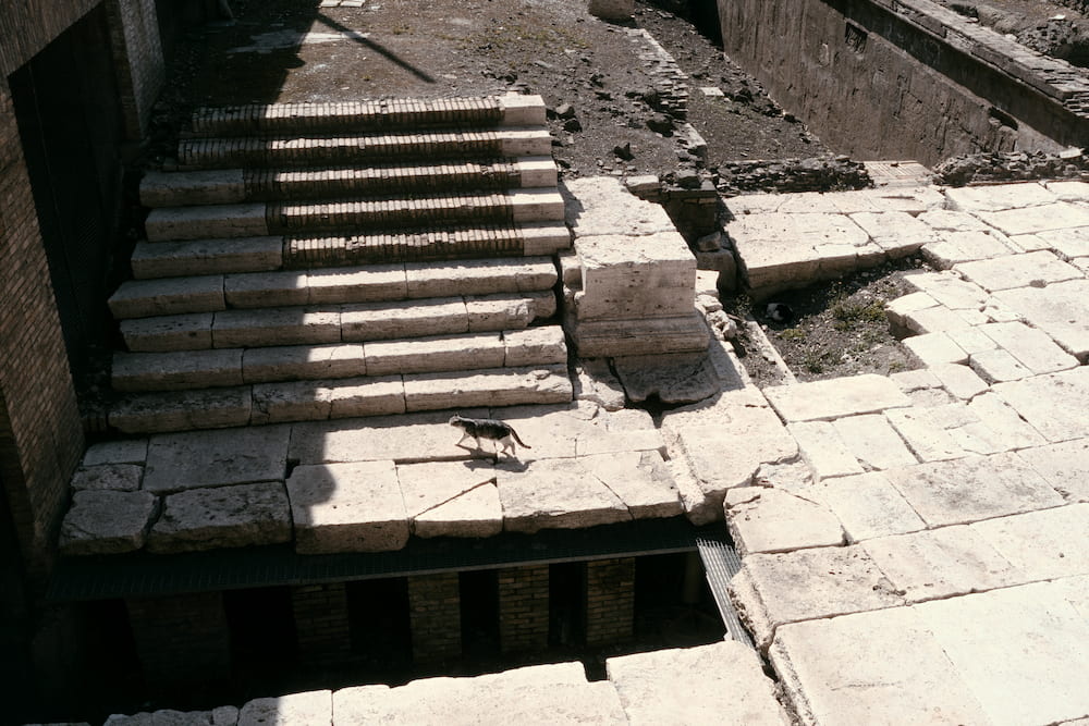 Worn marble steps half in sun, half in shade.
