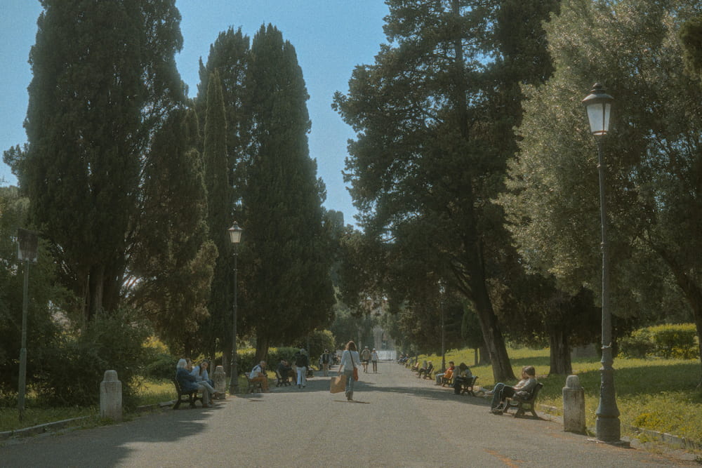 A park avenue between tall trees and lamp posts.