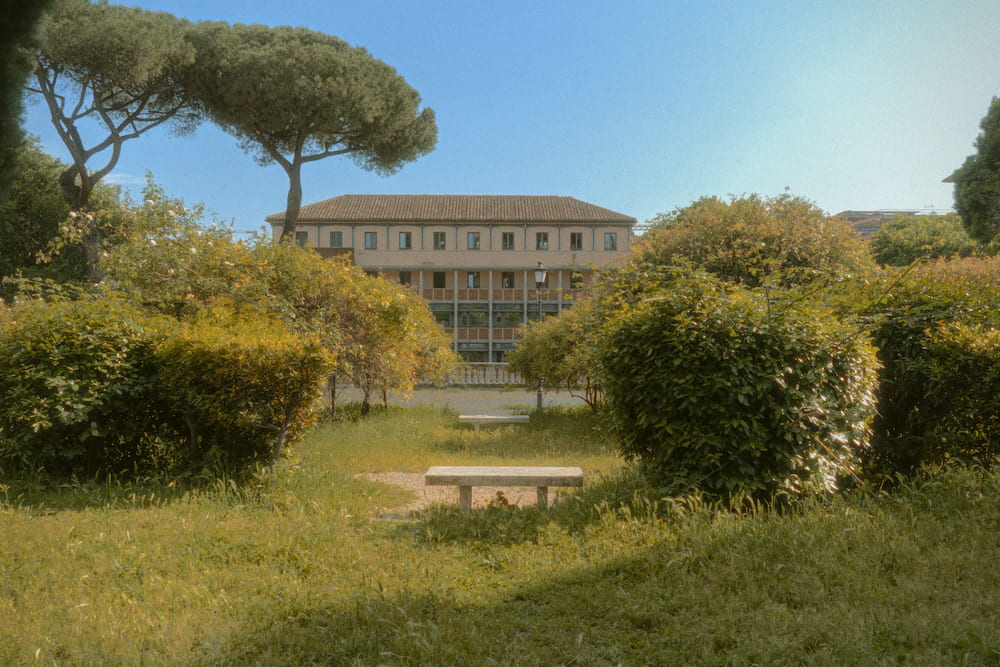 Umbrella pines and shrubs in front of a long pale building.