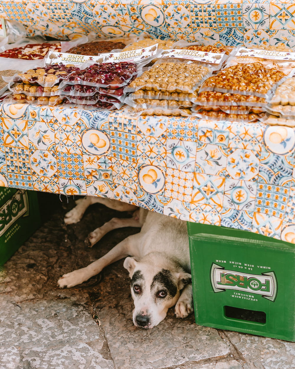 Dog lying under a market table of packaged olives, beside a green beer crate on stone paving