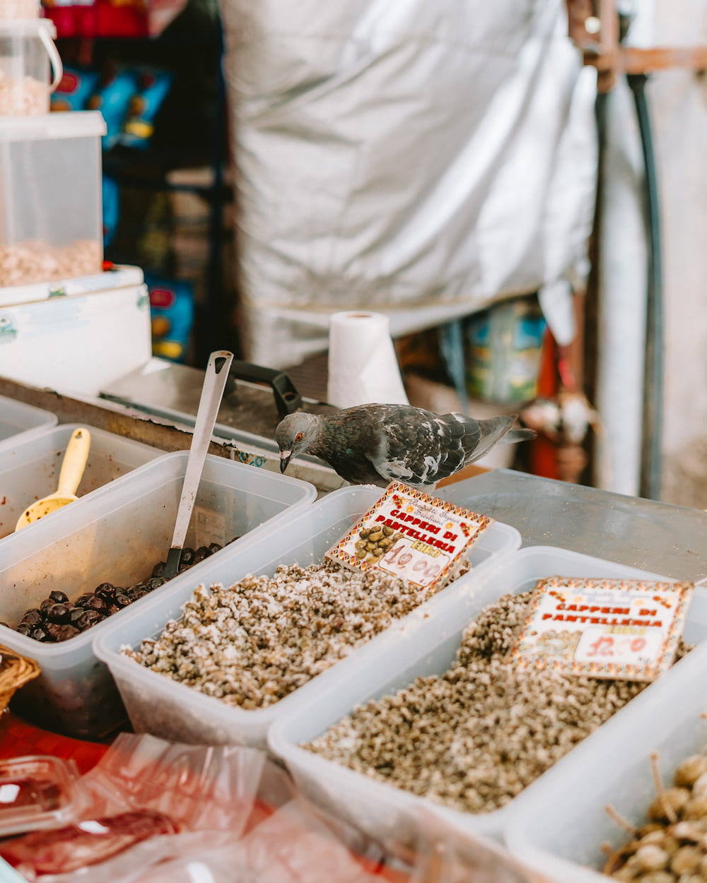 Pigeon standing among tubs of capers and olives on a market stall