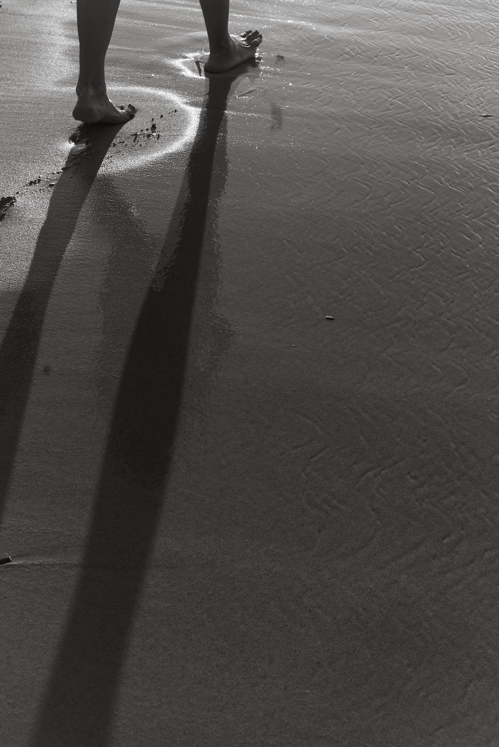 Black and white bare legs at the water's edge casting long shadows on wet sand